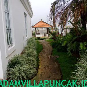 Sewa Villa Di Puncak Ada Kolam Renang