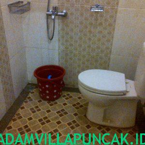 villa di kota bunga kolam renang pribadi