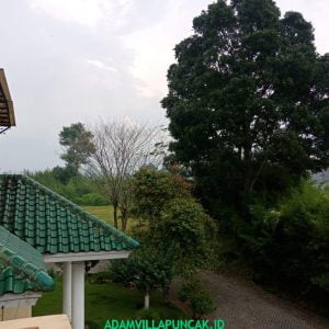 villa ayu 4 kamar kapasitas 20 orang di puncak
