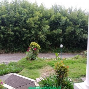 villa ayu 4 kamar kapasitas 20 orang di puncak