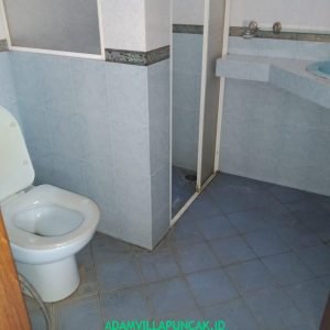 Villa Taman Bunga Nusantara 4 Kamar Kolam Renang & Billiard