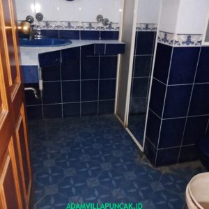 Villa Taman Bunga Nusantara 4 Kamar Kolam Renang & Billiard