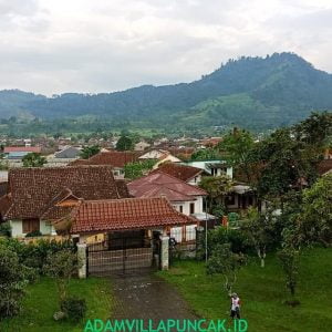 Villa Taman Bunga Nusantara 4 Kamar Kolam Renang & Billiard