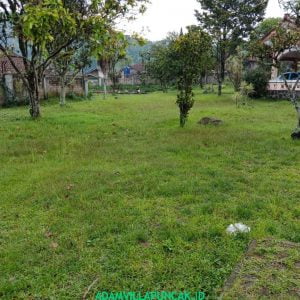 Villa Taman Bunga Nusantara 4 Kamar Kolam Renang & Billiard