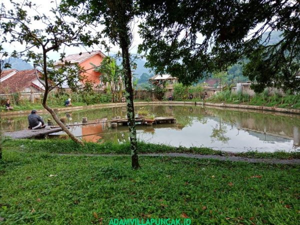 Villa Taman Bunga Nusantara 4 Kamar Kolam Renang & Billiard