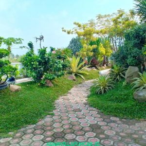 villa munyul dekat taman bunga