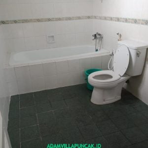 sewa villa di puncak untuk 50 orang