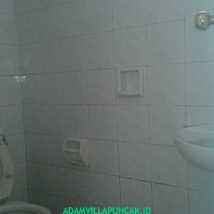 sewa villa puncak kolam renang murah