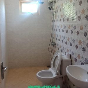 IMG-20191118-WA0190