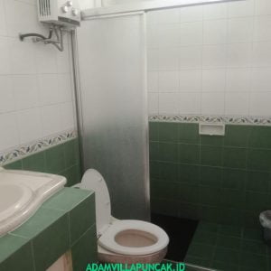IMG-20191118-WA0191