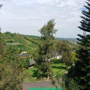 Villa Norwich Puncak 3 Kamar Private Pool