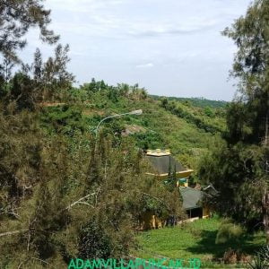 Villa Norwich Puncak 3 Kamar Private Pool