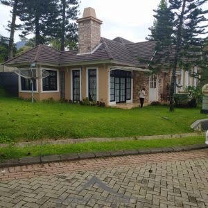 villa indian 3 kamar kota bunga kolam renang pribadi