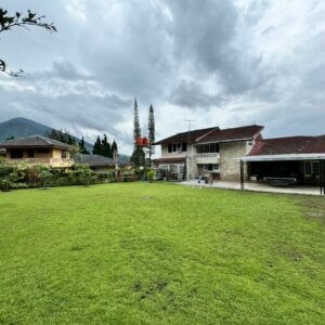 IMG-20240510-WA0067